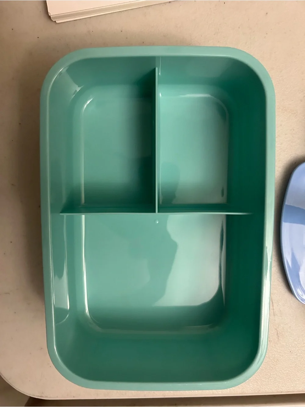 Leaf-Print Meal Prep Container in Green & Blue - Brand Unspecified